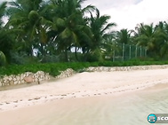 Take five of the world's best naturals, fly them to a tropical island for a week and follow them around with cameras.